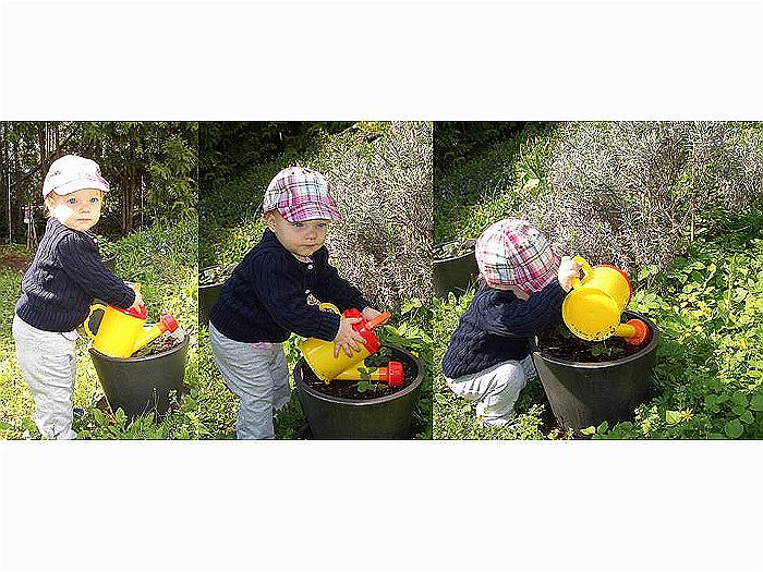 garden water